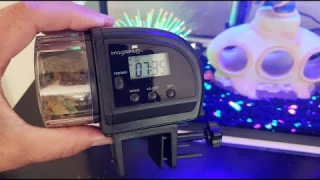 IMAGITARIUM Automatic Fish Feeder SETUP