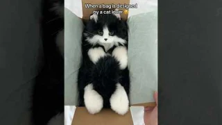 Realistic Cat Plush 🐱 | Handmade Companion Pet Gift Idea!