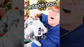 I Just Got a Robot Dog… and It’s Insane!
