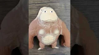 Stress Relief Squishy Monkey Toy #Shorts