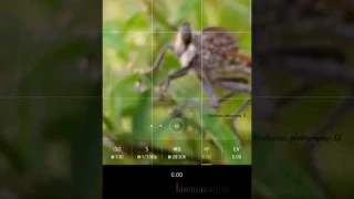 How I take macro photos with phone 📱... #shorts #youtubeshorts