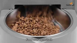 Gardner Pet Automatic Gravity Cat Food Feeder and Water Dispenser Stainless Steel Two