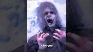 The Dyatlov Pass Incident 😨