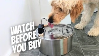 Pet Drinking Fountain Review | Game-Changer for Dog & Cat Hydration?