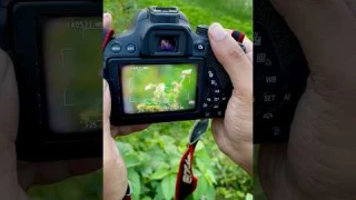 canon 700d photography #canon700d #50mm #streetphotography #dslrcamera