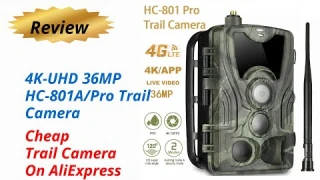 Review 4K-UHD 36MP HC-801A/Pro Trail Camera - Cheap Trail Camera On AliExpress 2024