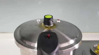 ASD 304 extra thick stainless steel pressure cooker