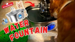 Pet Water Fountain with Filter Stainless Steel - Unboxing/Review