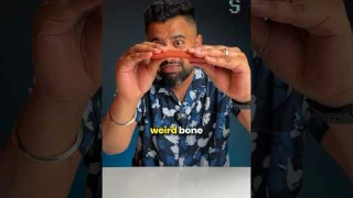 You Haven't Seen a Mouse Like This Before!