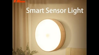 Automatic wireless intelligent human body sensor light charging led night light two-color