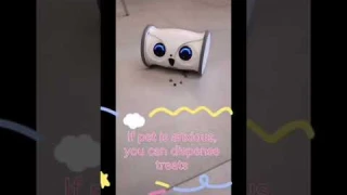 How amazing is Skymee Owl Robot? 🦉🤖😍