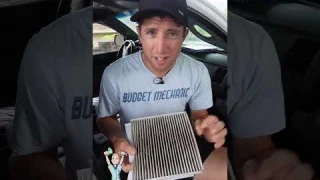You're MENTAL if you don't change this - A/C Cabin Filter