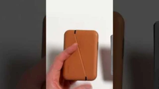 Bellroy Flip Case