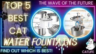 The Best Cat Water Fountains we can all afford: TOP 5 Amazon Reviewed. #cat #catwaterfountain #cats