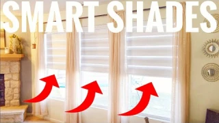 Smartwings Motorized Smart Zebra Shades (Alexa Voice Controlled) How-to Blinds Full Review 💯😀