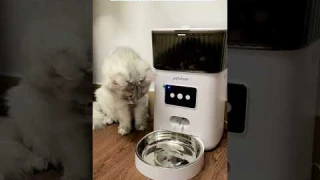 Petchain Automatic Cat Feeder, 4L WiFi Pet Food Dispenser for Cats and Dogs APP Control