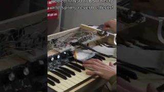 Analog Delay and Spring Reverb test #shorts #diysynth #diy  #synthesizer #diyelectronics