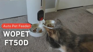 🔥REVIEW🔥 WOPET Barn Automatic Pet Feeder for 2 Cats FT50D | Automatic Cat Food Dispenser 6 Meals/Day