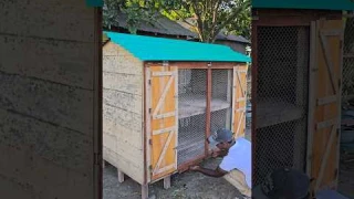 Two story chicken house #chicken #chickenlover #chickencoop #woodwork #pet