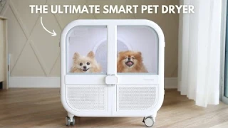 Testing the New Smart Pet Dryer: Homerunpet Drybo Ultra Review