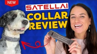 SATELLAI Smart GPS Dog Collar Review: WATCH Before You Buy