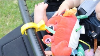 Crab Baby Car Seat Stroller Toy Review