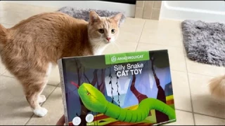 I bought my cats a Snake Cat Toy from Amazon! #shorts