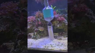 New Hygger Electric gravel cleaner!