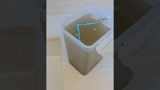 NARWAL Freo Z Ultra Robot Vacuum & Mop  It's Doing Amazing!