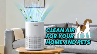 Tailulu H13 True HEPA Air Purifier: Clean Air for Your Home and Pets