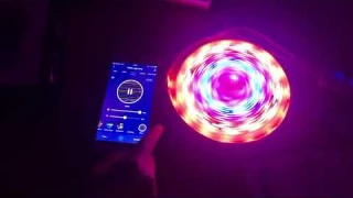 tuya wifi RGBIC light strip