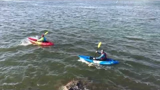 Feelfree Roamer 1 Sit On Top Kayaks