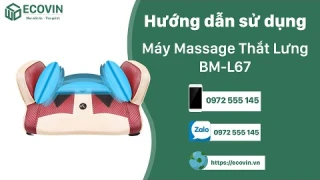 Máy massage thắt lưng BM-L67 | Ecovin.vn