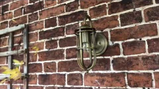 Vintage Industrial Caged Wall Light