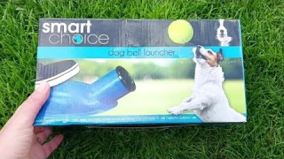 Dog ball launcher review with Rocket the beagle