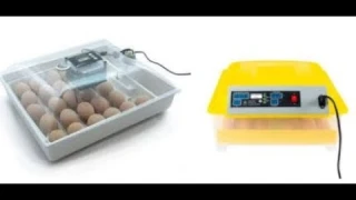 Reviews: Best Egg Incubator 2018