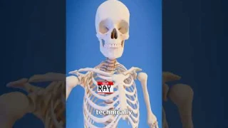 The Ship Of Theseus Paradox 😵‍💫