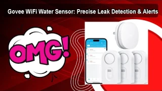 Govee WiFi Water Sensor: Precise Leak Detection & Alerts