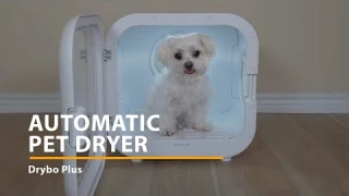 You WON'T Believe This Pet Gadget! 🐾 Drybo Plus Cabin Pet Dryer REVIEW!