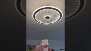 The ceiling fan/light you never knew you needed. #amazonhome #amazon #amazonfinds #founditonamazon