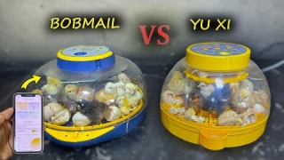 Bobmail VS Yu Xi Automatic Egg incubator -  Eggs to baby chicks