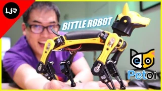 Bittle Robot - You Will Love This!