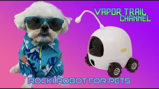 ROCKI The Robot - The Perfect Way To Treat, Play W/ & Monitor Your Pet?