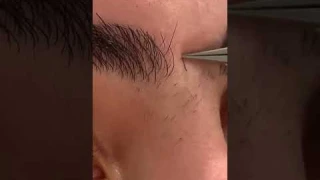 ArteStile Point Tip Tweezers will grab the most STUBBORN hairs! 😜🥰🤩 #brows #satisfying #tweezers