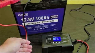 What You Should Know - 20-Amp Smart Battery Charger