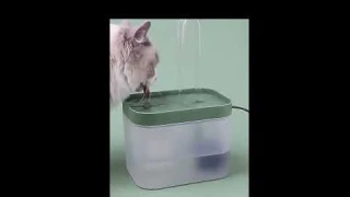 Smart Portable Water Fountains for Pets
