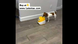 Automatic dog playing ball launcher.