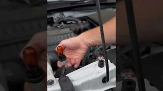Real Review on The Brightest Turn Signal Bulbs!
