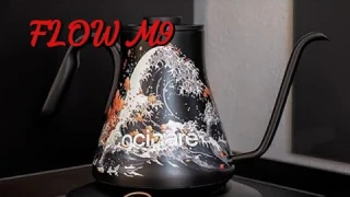 Cocinare Electric Gooseneck Kettle Review