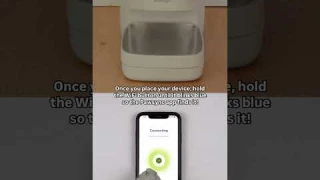 Getting Started with the Pawsync Smart Pet Feeder! 🐾✨